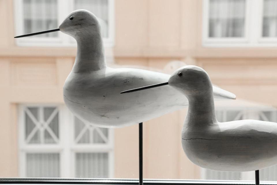 Zonnig & Gezellig Appartement Centrum Oostende מראה חיצוני תמונה